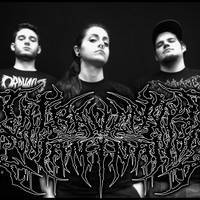 Intravenous Contamination : Promo 2013